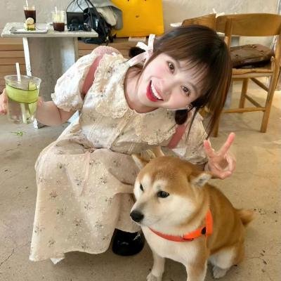 拜托，快结婚吧！第二季封面