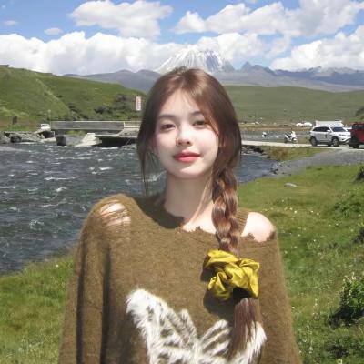 安娜与狼封面